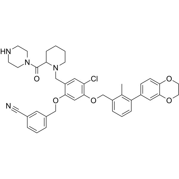 BMS-1166-N-piperidine-CO-N-piperazine CAS نمبر: 2447066-14-8